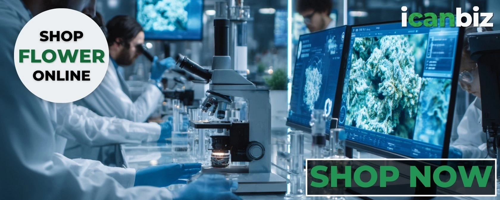 THCa Flower Authentic Or Synthetic