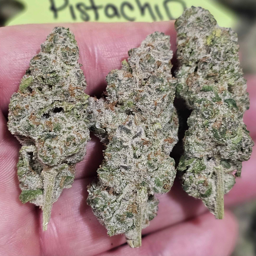 Wholesale Sour Pistachio THCa