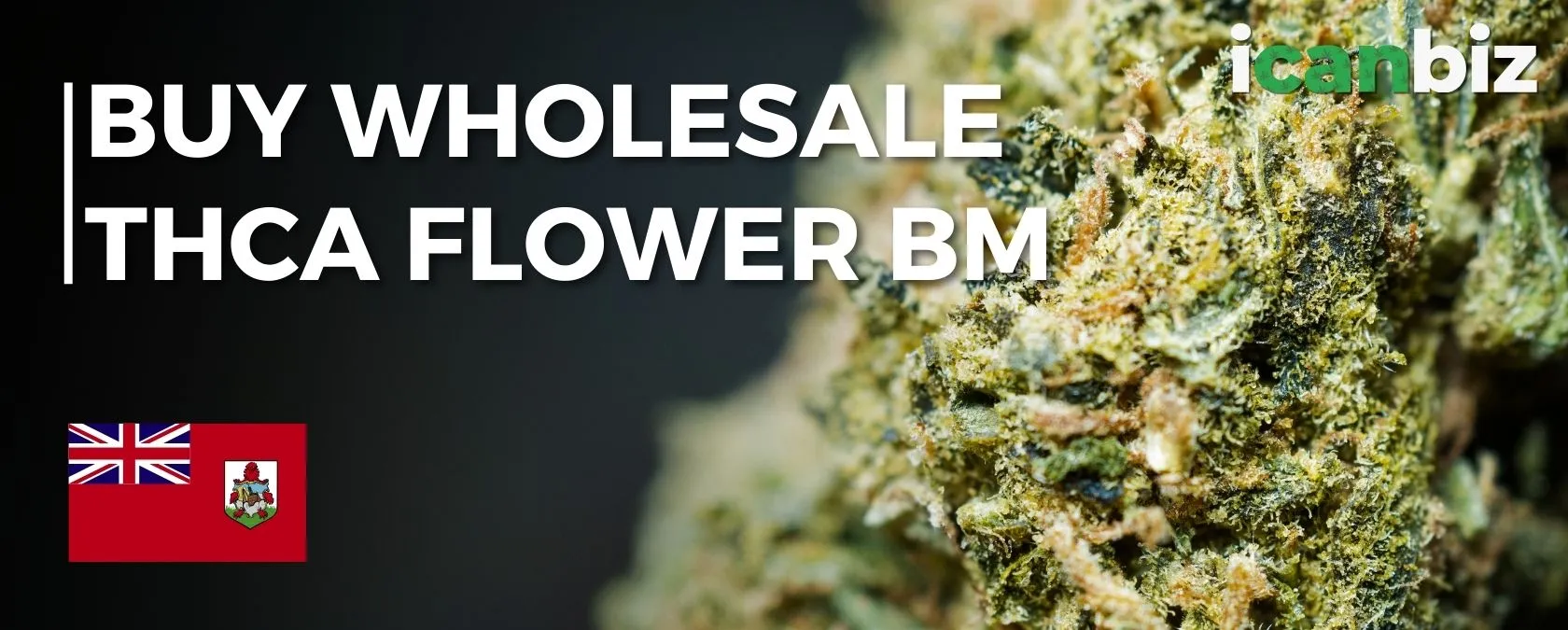 Wholesale THCa Flower Bermuda
