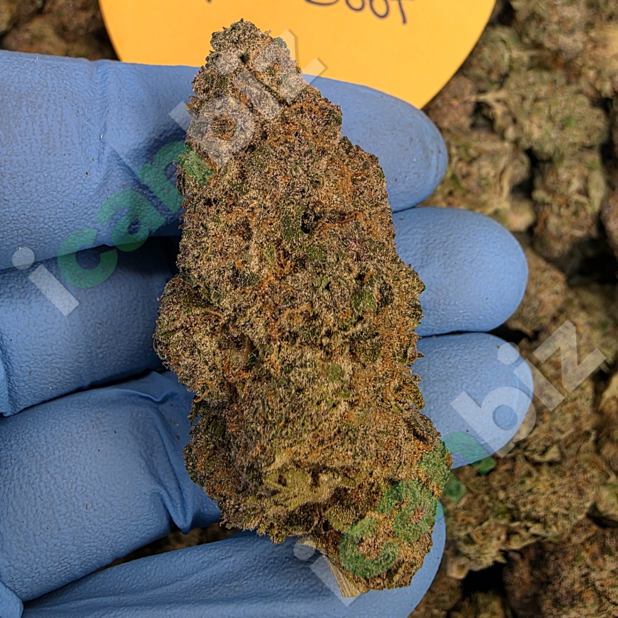 Wholesale THCa Super Boof