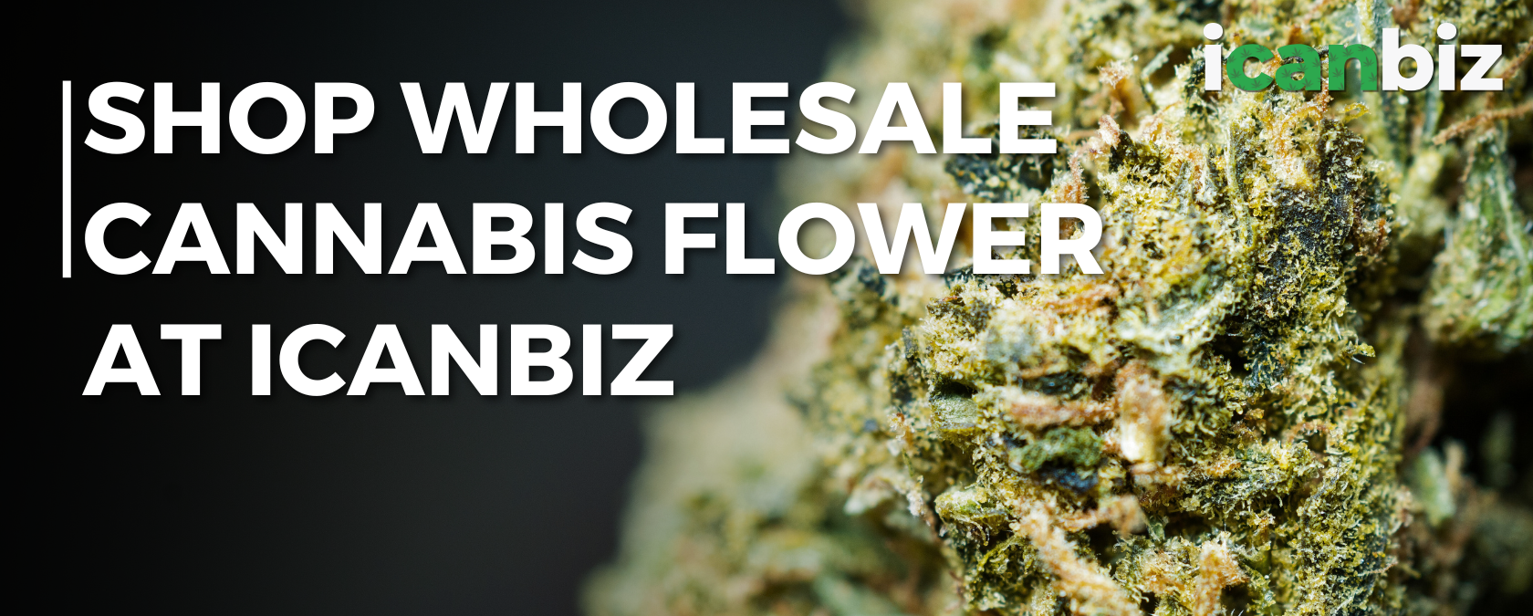 Cannabis Dispensary Wholesale Flower