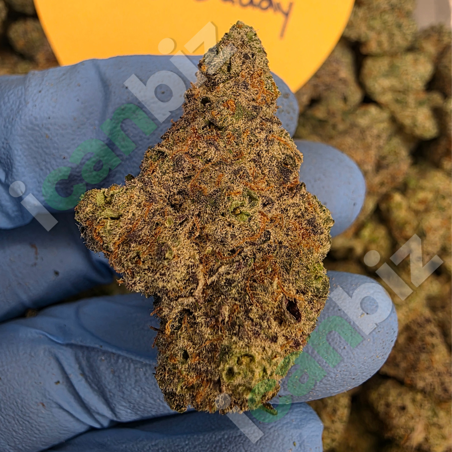 Wholesale Mac Daddy Thca Flower